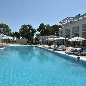 book here